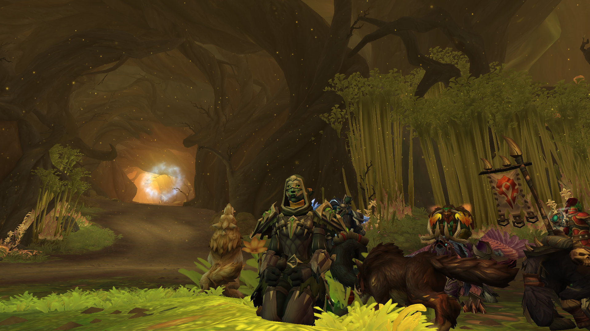 Midnight Rogue Guide