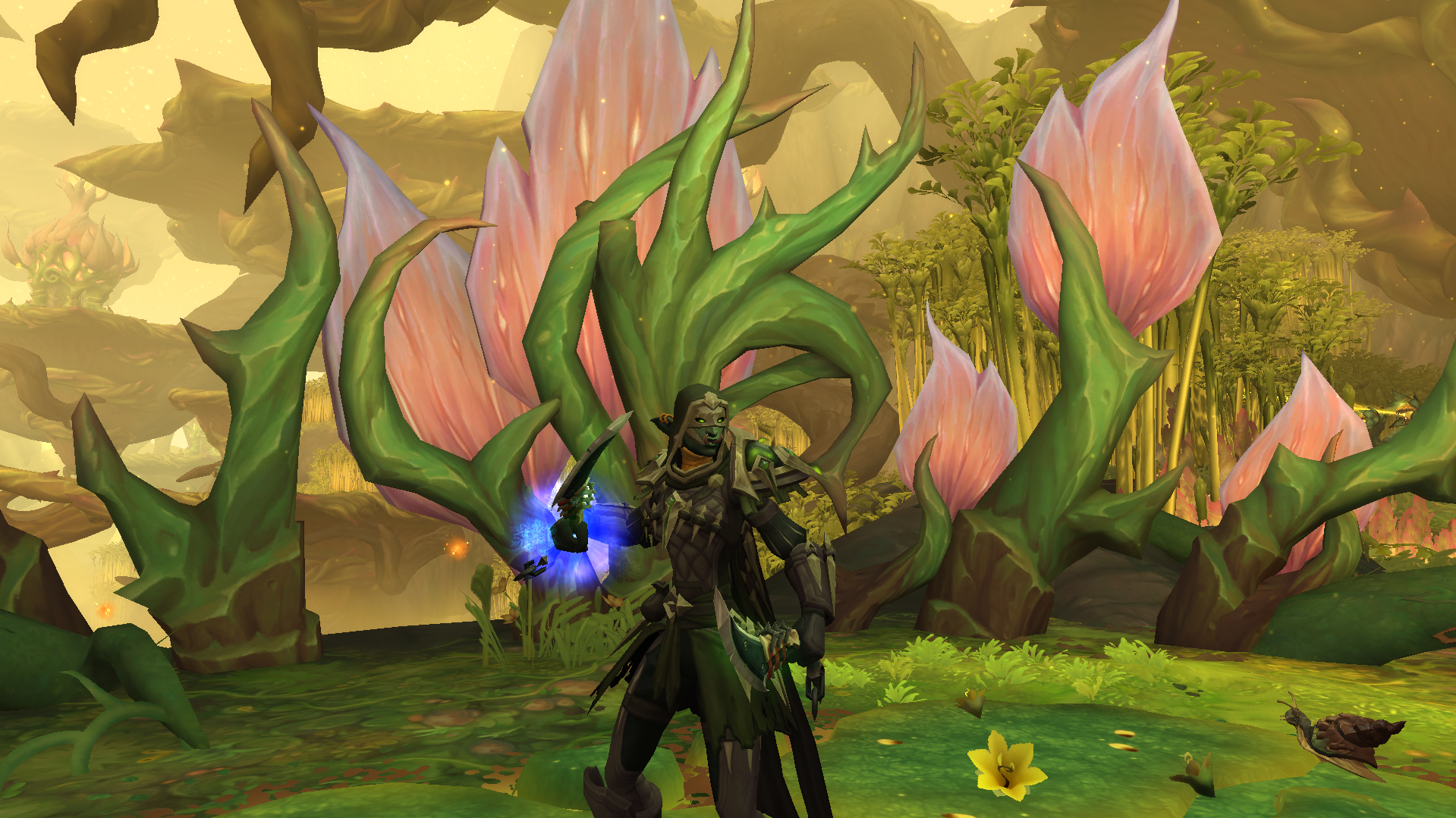 Midnight Rogue Guide