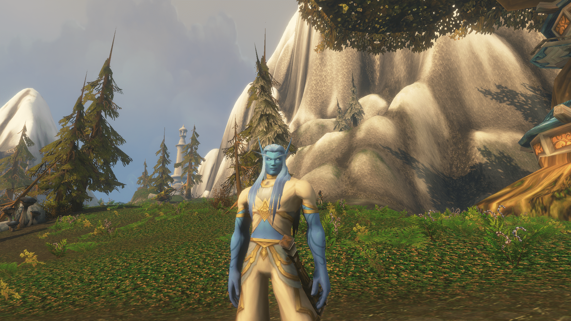 WoW Forever Best DPS