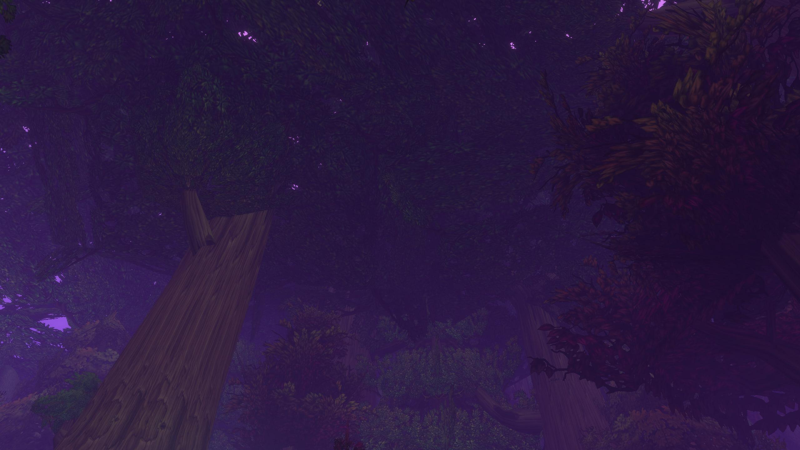 WoW Forever Best Settings