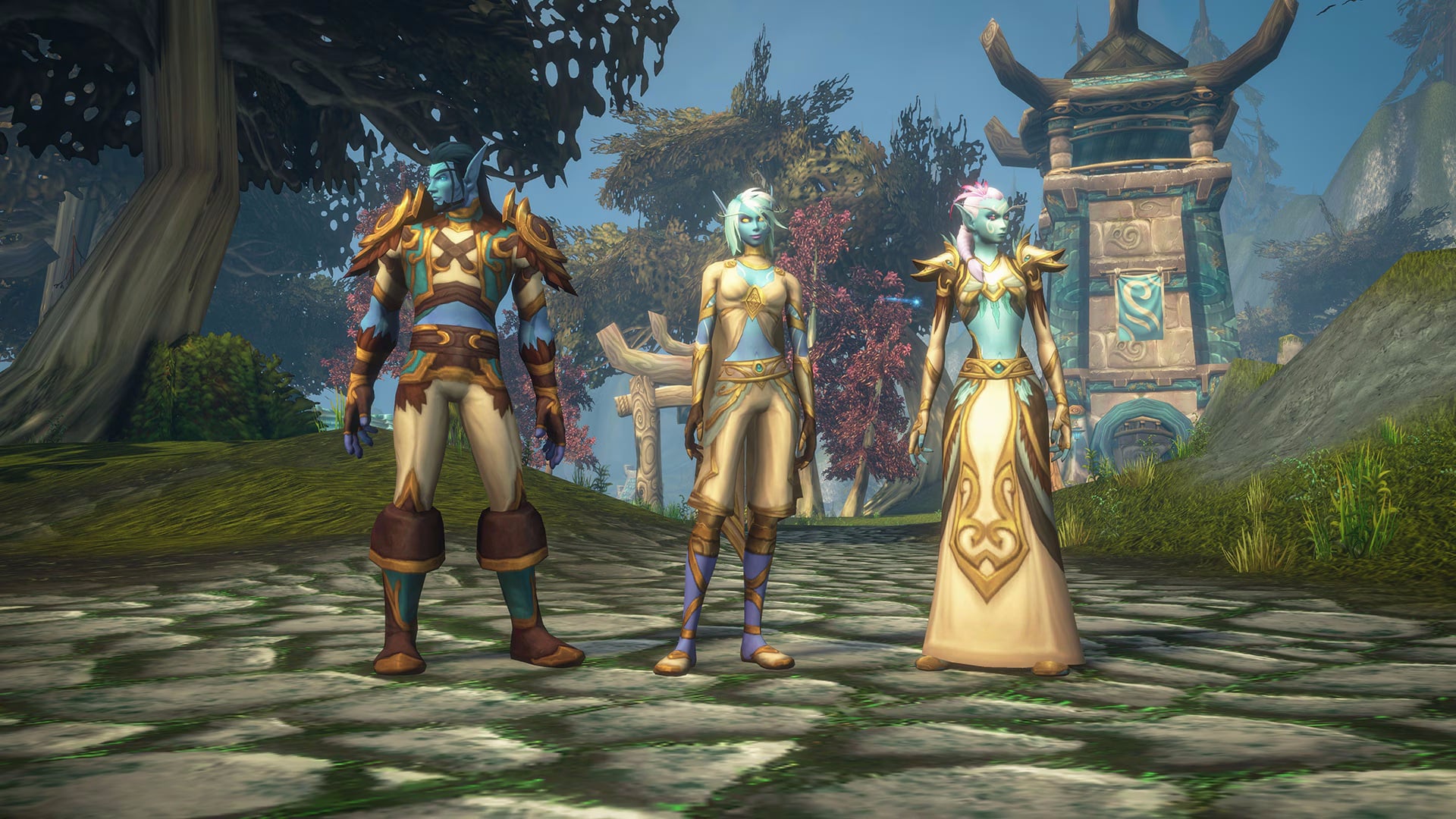 WoW Forever All Race and Class Combinations