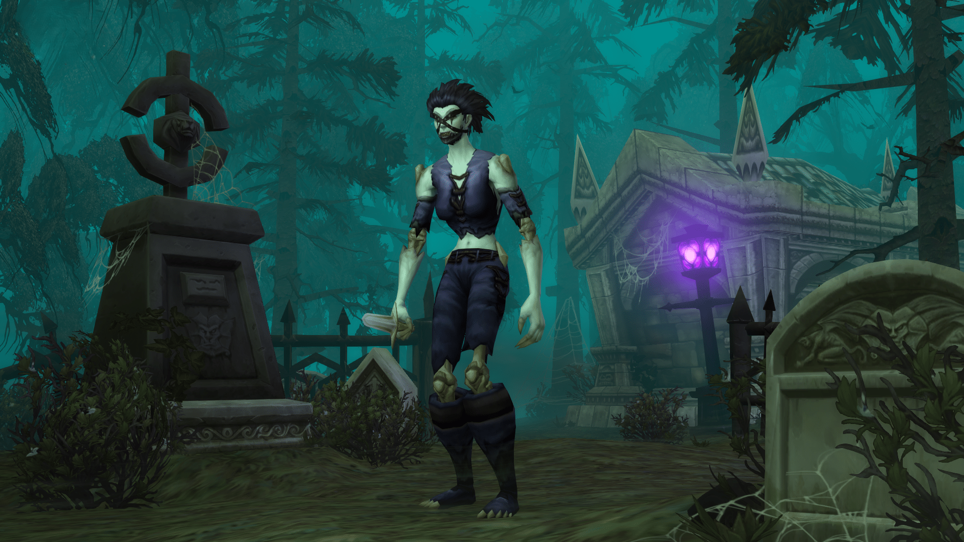 WoW Forever Assassination Rogue Guide