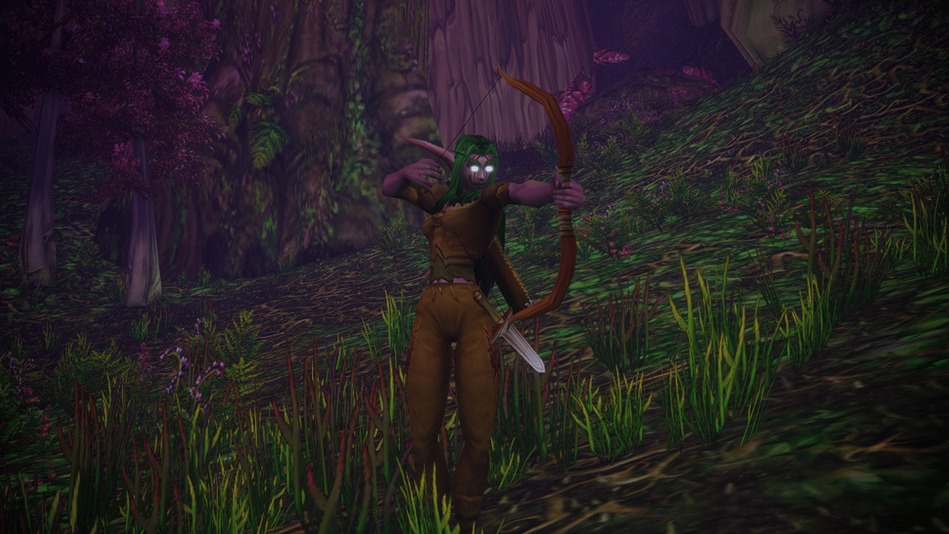 WoW Forever Beast Mastery Hunter Guide