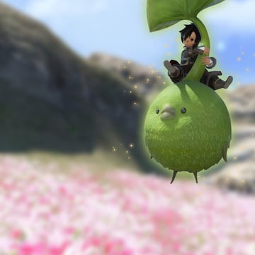 Korpokkur Kolossus