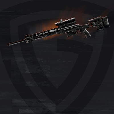 Sniper Rifles Leveling