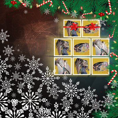 Dual Destiny Christmas Bundle