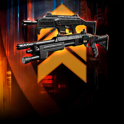 Weapons Leveling