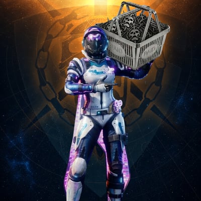 Raid Custom Bundle