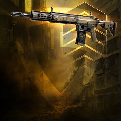Marksman Rifles Leveling
