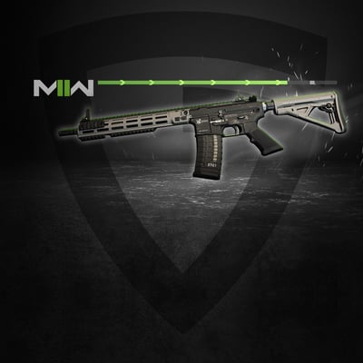 Assault Rifles Leveling