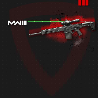 Sniper Rifles Leveling