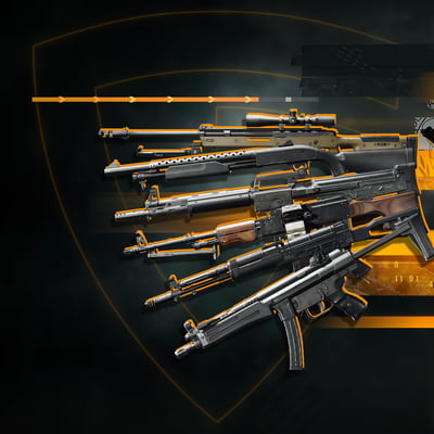 Weapons Leveling Bundle