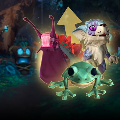 Battle Pet 1-25 leveling