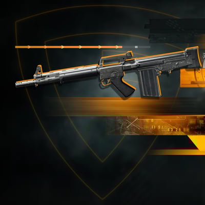 Marksman Rifles Leveling