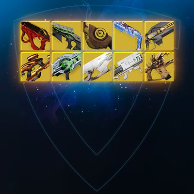 All Raid Exotic Weapons Bundle