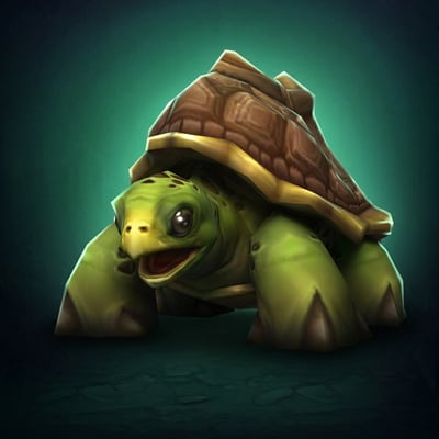 Riding Turtle