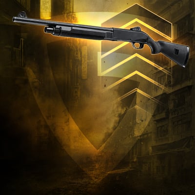 Shotguns Leveling