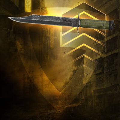 Melee Leveling