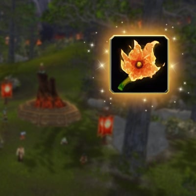 Burning Blossom Farm