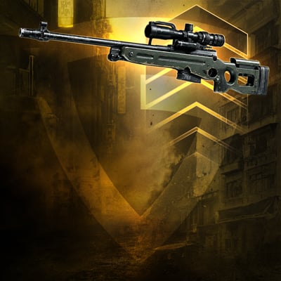 Sniper Rifles Leveling