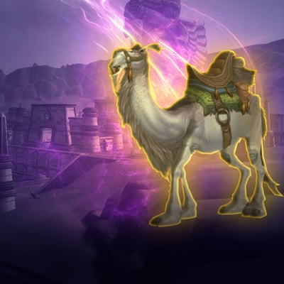 White Riding Camel