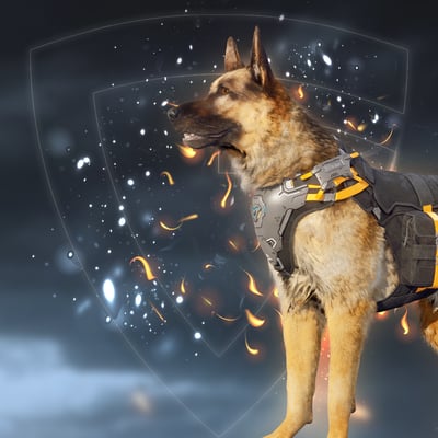 Fellow Companion Unlock