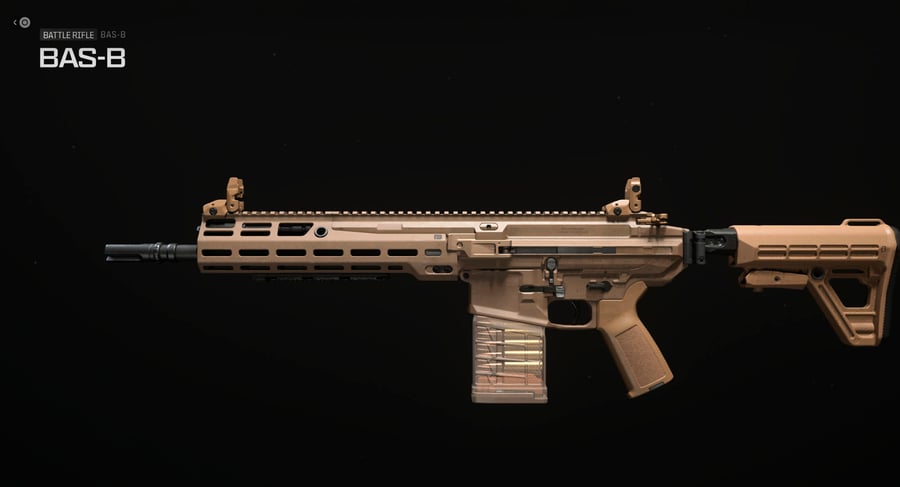 Battle Rifles Leveling