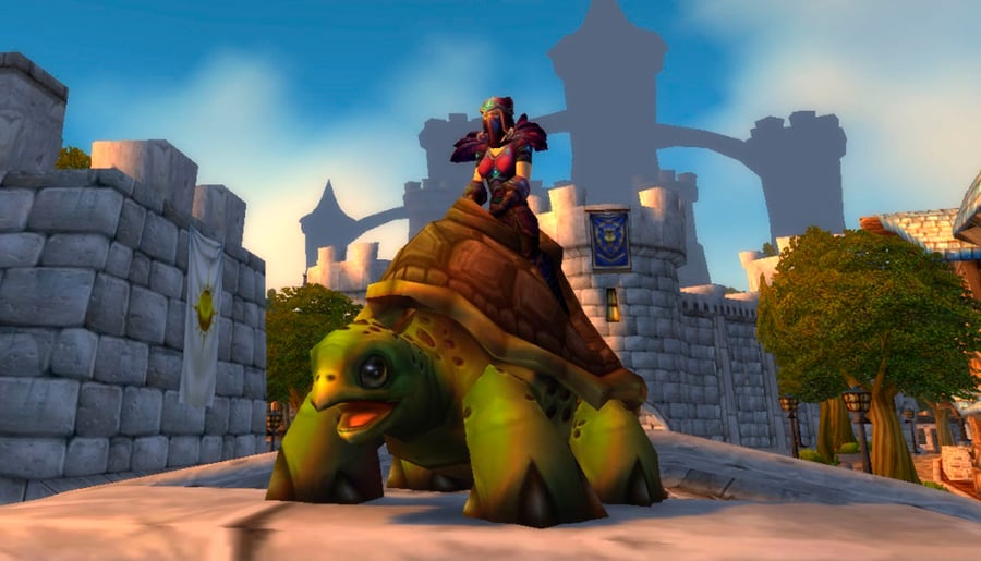 Riding Turtle