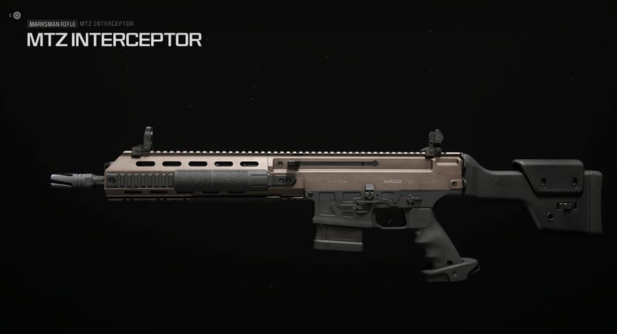 Marksman Rifles Leveling