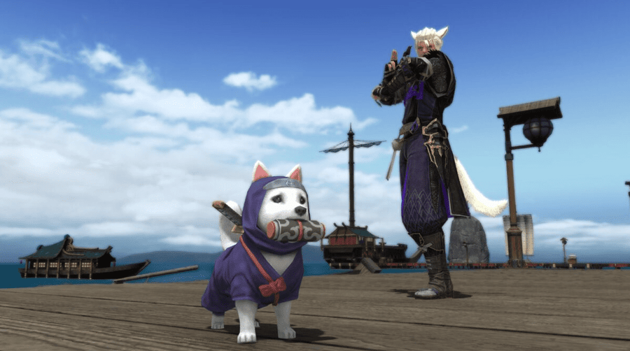 Mount Rokkon Variant Dungeon