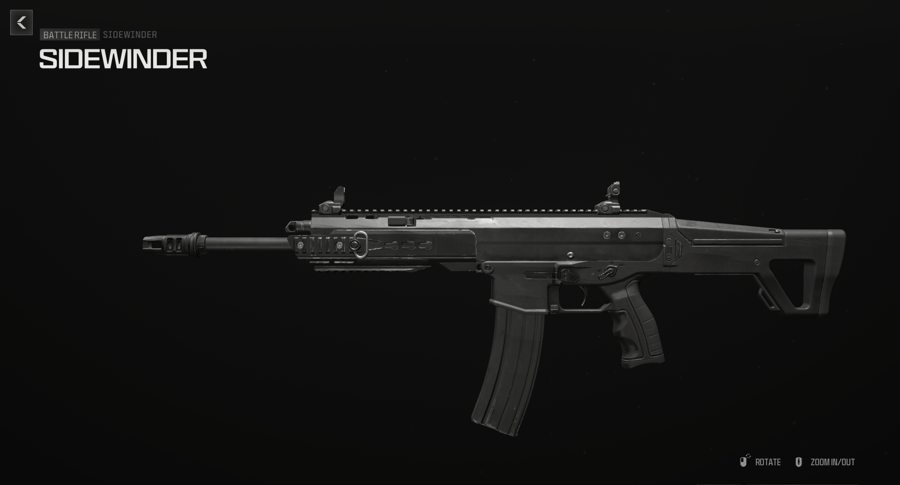 Battle Rifles Leveling