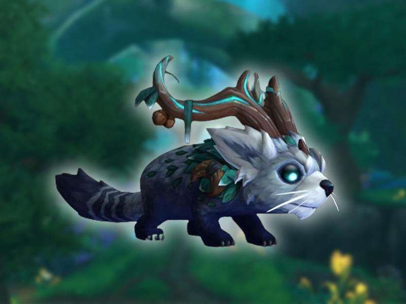 How to Get Dream Wardens Reputation