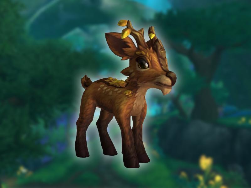 How to Get Dream Wardens Reputation