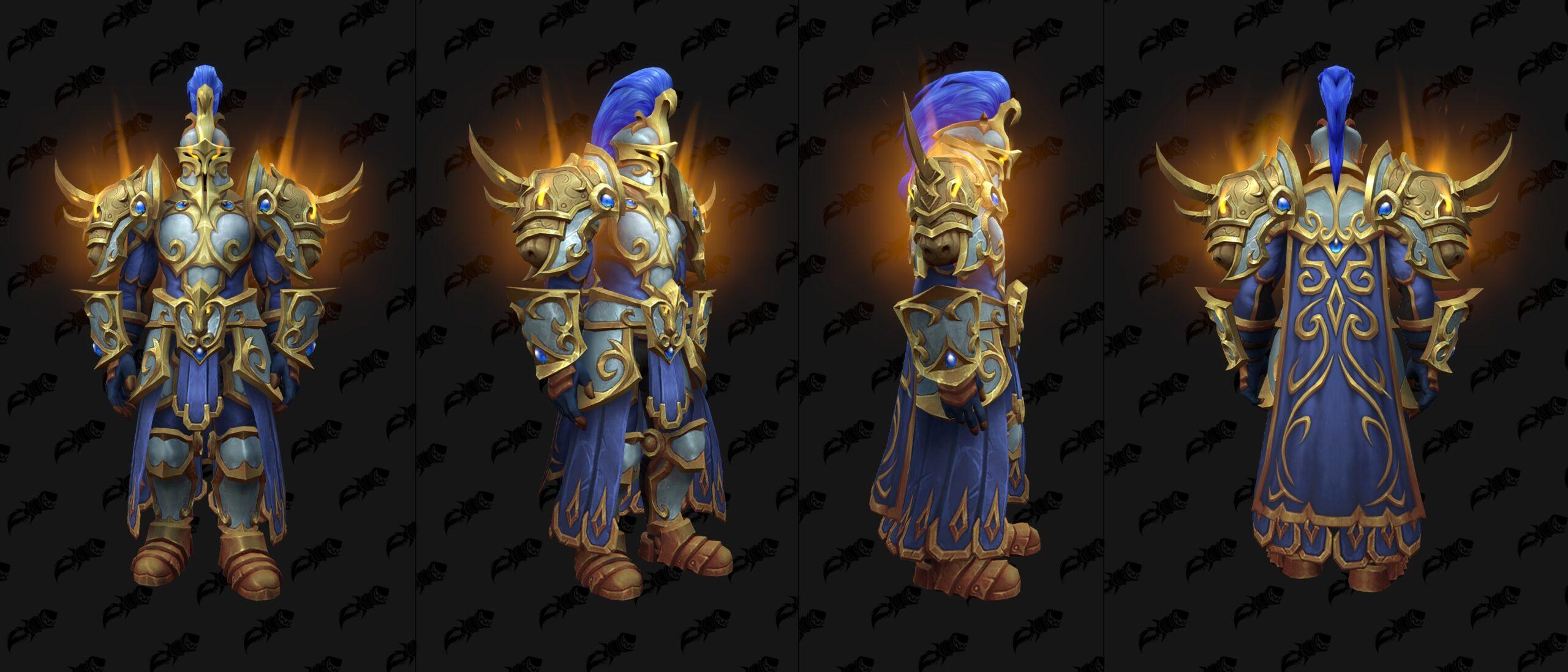 Protection Paladin Guide