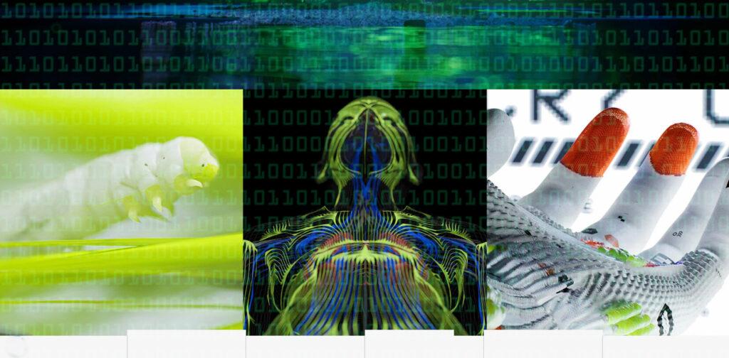 Marathon Alpha Codes