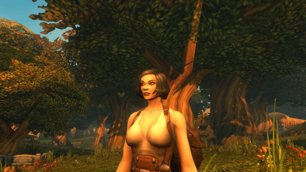 Best Leveling Class in WoW Forever